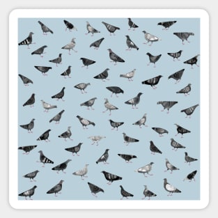 Pigeons Doing Pigeon Things Magnet